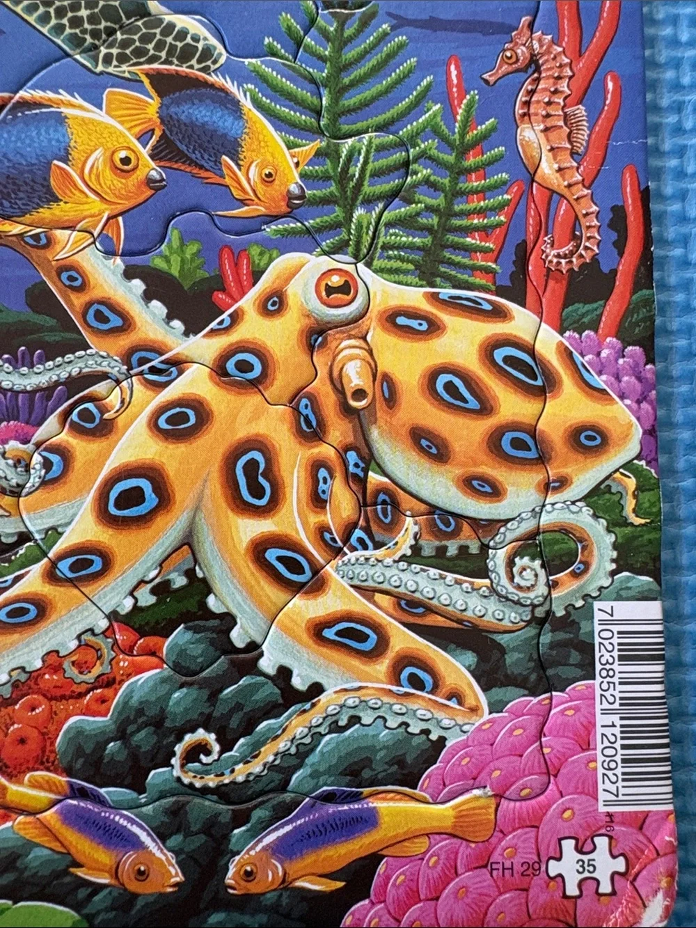 Sea life puzzle